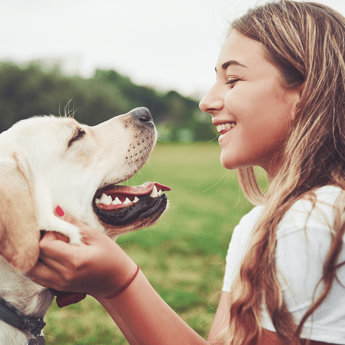 Smiling girl gently holding her happy dog in a grassy park